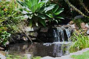 carrick hill 2014 (75)